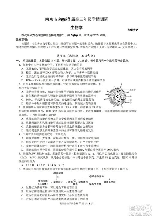 南京市2023届高三年级学情调研生物试题及答案 南京市2023届高三年级学情调研生物试题及答案