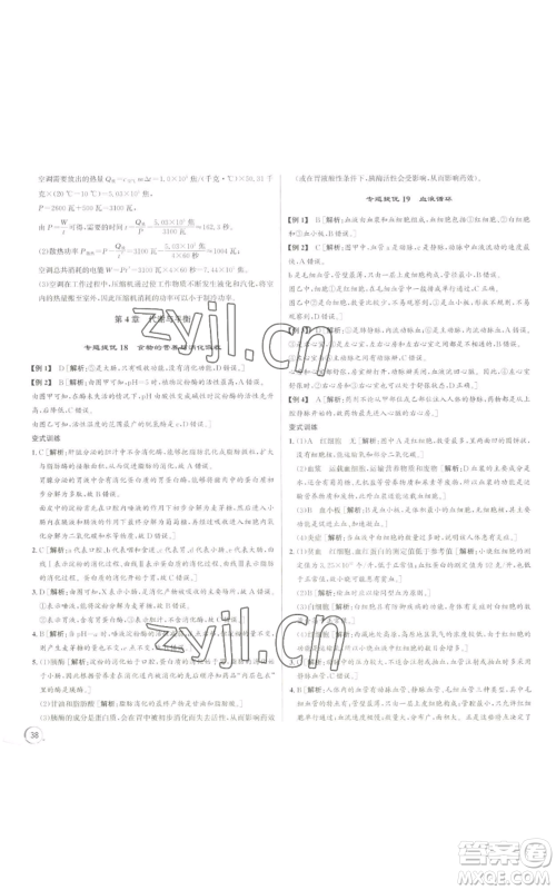 浙江人民出版社2022秋季优+攻略九年级科学浙教版参考答案