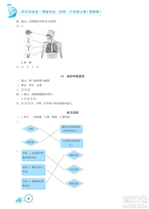 湖北教育出版社2022秋长江作业本课堂作业科学三年级上册人教鄂教版答案