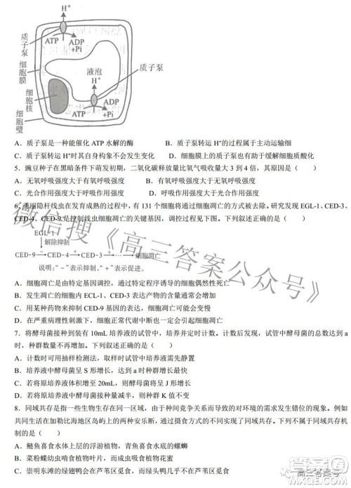 2022-2023学年度武汉市部分学校高三年级九月调研考试生物学答案