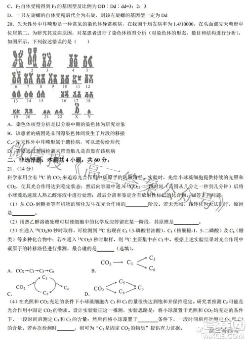 2022-2023学年度武汉市部分学校高三年级九月调研考试生物学答案