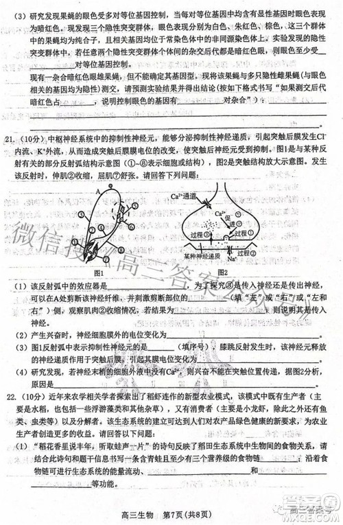 河北省2023届高三学生全过程纵向评价一生物试题及答案