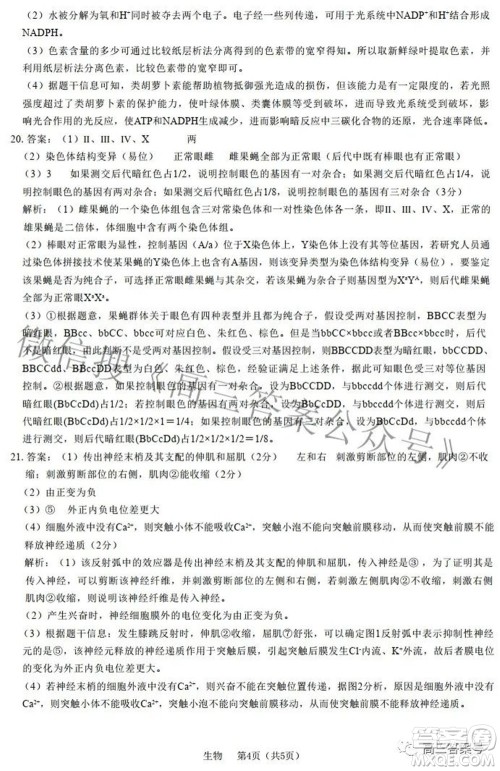 河北省2023届高三学生全过程纵向评价一生物试题及答案