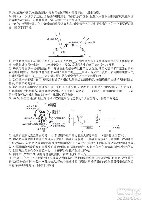河南省创新联盟2022-2023学年高二上学期第一次联考生物试题及答案