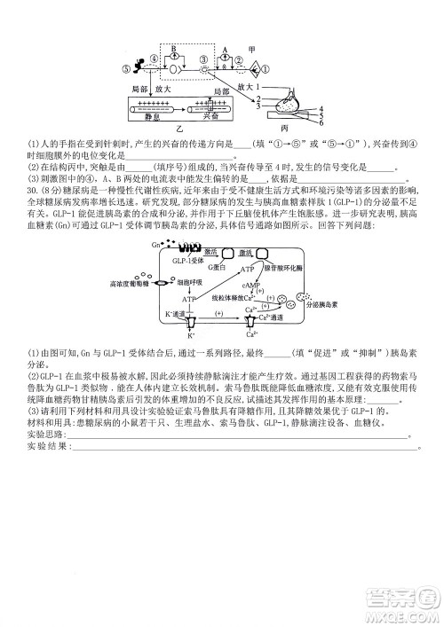 河南省创新联盟2022-2023学年高二上学期第一次联考生物试题及答案
