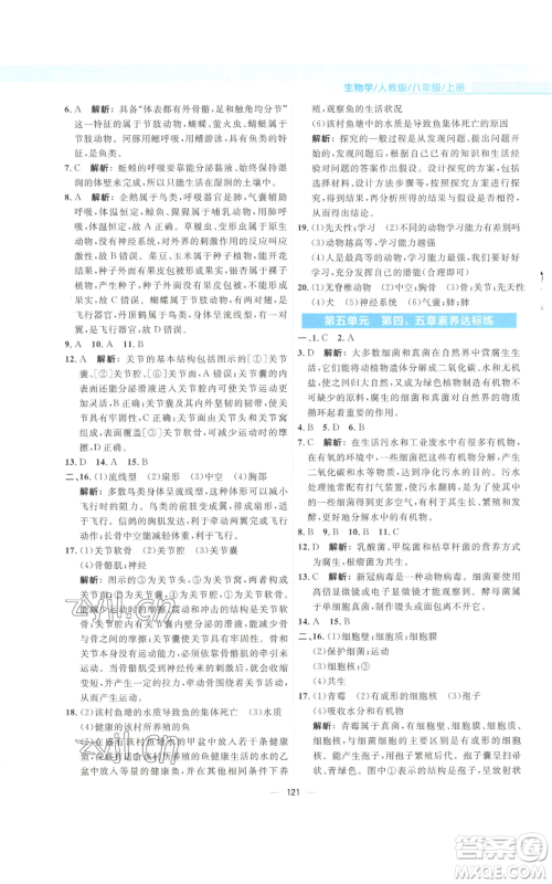 安徽教育出版社2022新编基础训练八年级上册生物学人教版参考答案