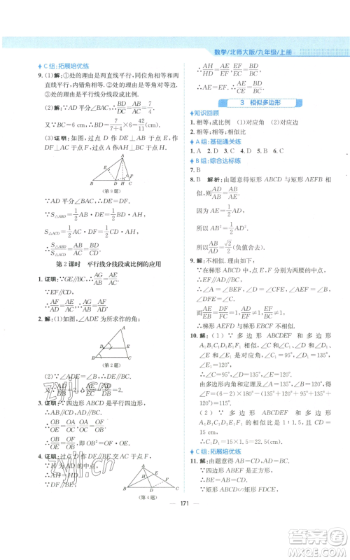 安徽教育出版社2022新编基础训练九年级上册数学北师大版参考答案