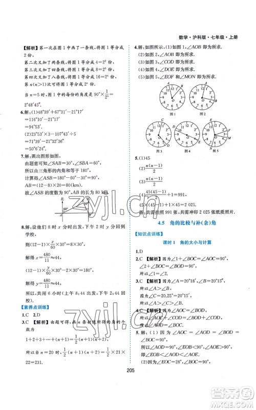 黄山书社2022新编基础训练七年级上册数学沪科版参考答案