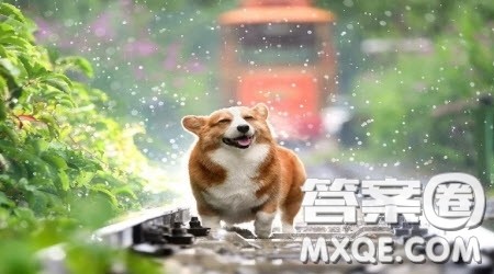 下雨主题作文800字 关于下雨的主题作文800字 下雨主题作文800字 关于下雨的主题作文800字