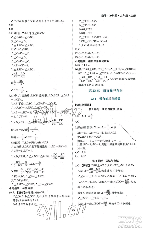 黄山书社2022新编基础训练九年级上册数学沪科版参考答案 黄山书社2022新编基础训练九年级上册数学沪科版参考答案