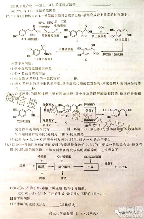 2023届高三黄冈市9月调研考试化学试题及答案