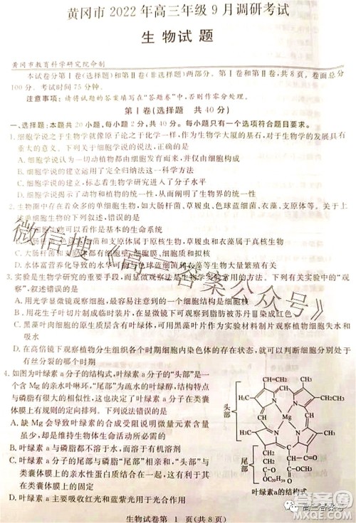 2023届高三黄冈市9月调研考试生物试题及答案