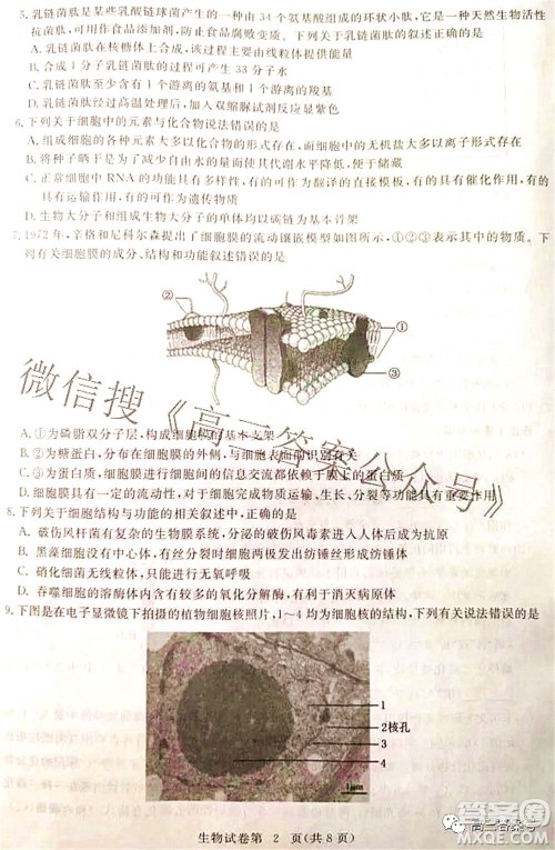 2023届高三黄冈市9月调研考试生物试题及答案 2023届高三黄冈市9月调研考试生物试题及答案