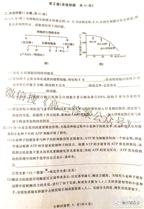 2023届高三黄冈市9月调研考试生物试题及答案