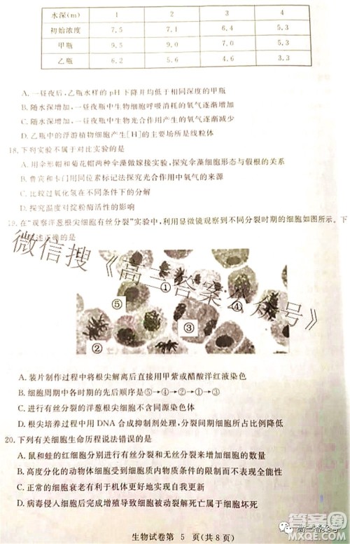 2023届高三黄冈市9月调研考试生物试题及答案 2023届高三黄冈市9月调研考试生物试题及答案