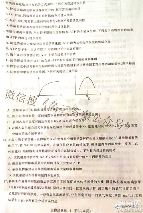 2023届高三黄冈市9月调研考试生物试题及答案 2023届高三黄冈市9月调研考试生物试题及答案