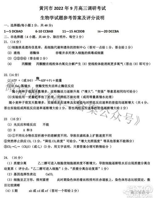2023届高三黄冈市9月调研考试生物试题及答案 2023届高三黄冈市9月调研考试生物试题及答案