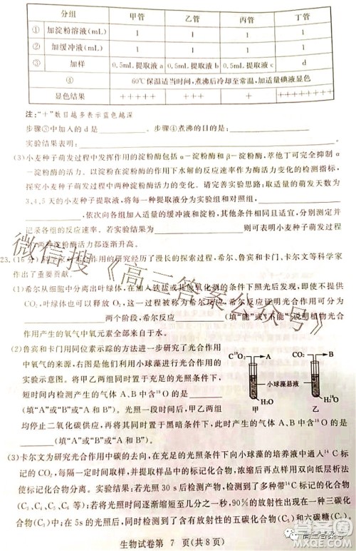 2023届高三黄冈市9月调研考试生物试题及答案 2023届高三黄冈市9月调研考试生物试题及答案