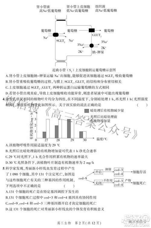 2023届河北省示范性高中高三年级调研考试生物试题及答案