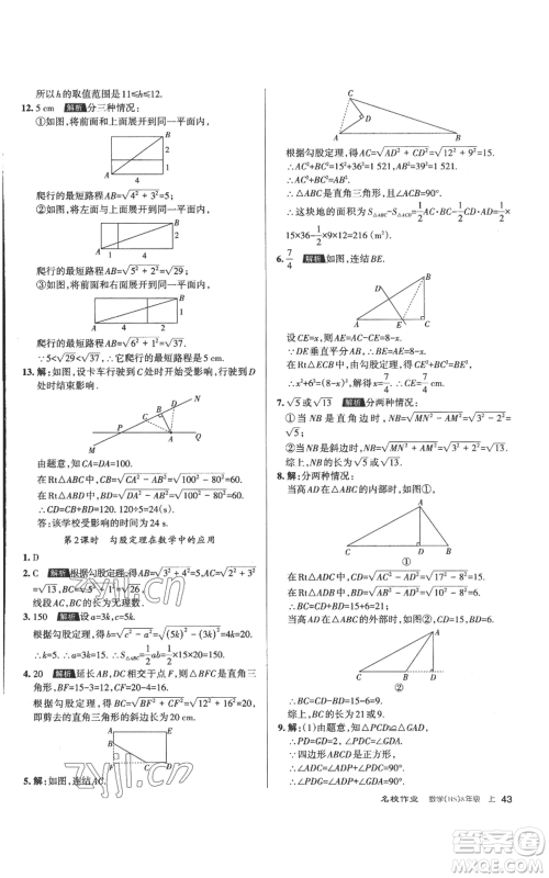 北京教育出版社2022秋季名校作业八年级上册数学华师大版参考答案