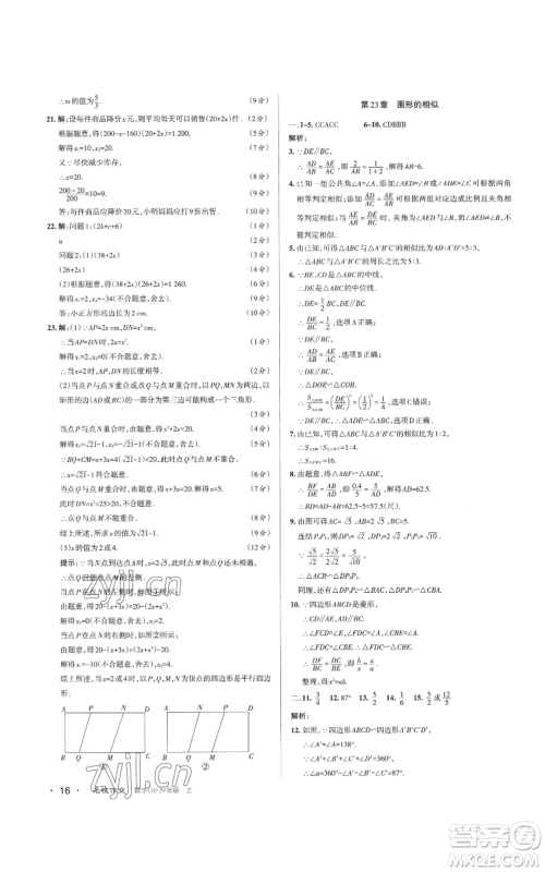 北京教育出版社2022秋季名校作业九年级上册数学华师大版参考答案