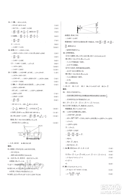 北京教育出版社2022秋季名校作业九年级上册数学华师大版参考答案