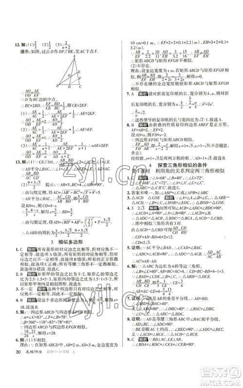 北京教育出版社2022秋季名校作业九年级上册数学北师大版参考答案