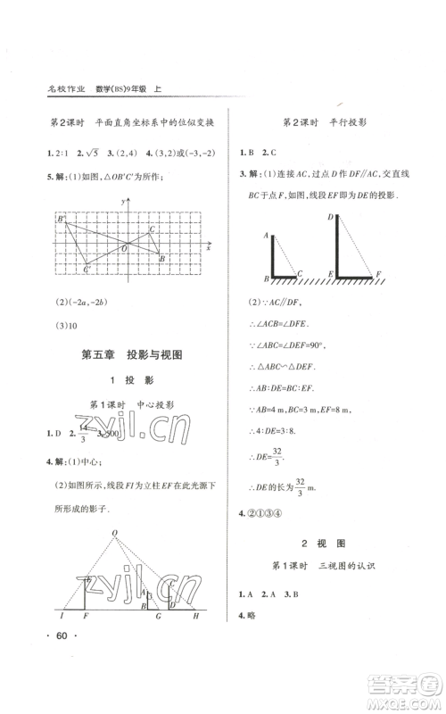 北京教育出版社2022秋季名校作业九年级上册数学北师大版参考答案