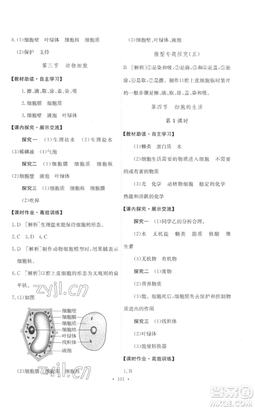人民教育出版社2022能力培养与测试七年级上册生物学人教版参考答案