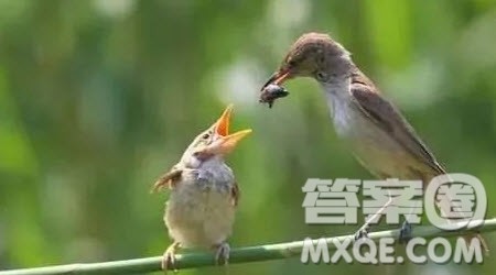 母爱尽在不言中作文600字 关于母爱尽在不言中的作文600字 母爱尽在不言中作文600字 关于母爱尽在不言中的作文600字