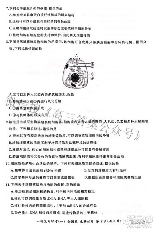 百师联盟2023届高三一轮复习联考一全国卷生物试题及答案