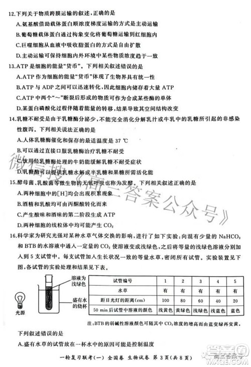 百师联盟2023届高三一轮复习联考一全国卷生物试题及答案