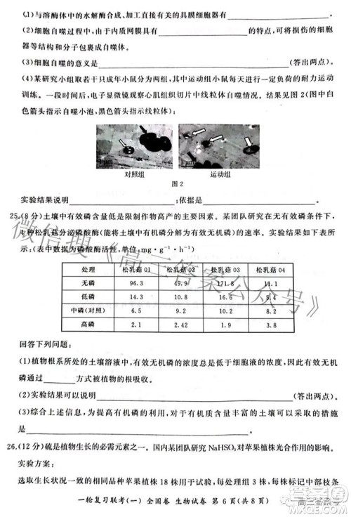 百师联盟2023届高三一轮复习联考一全国卷生物试题及答案