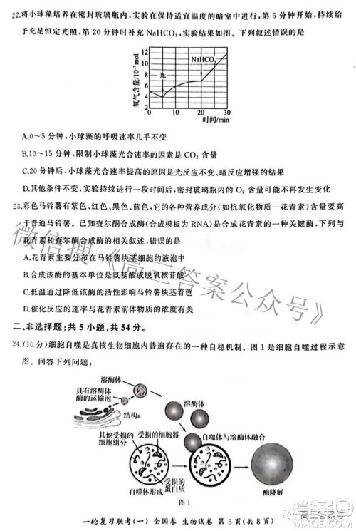 百师联盟2023届高三一轮复习联考一全国卷生物试题及答案