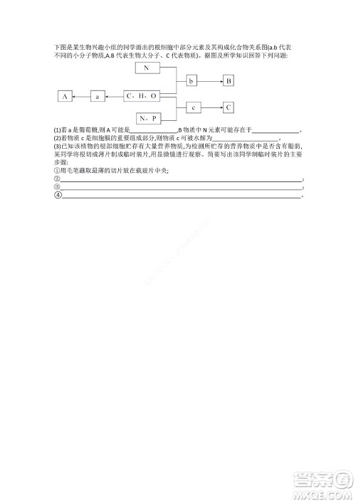 湖南省部分学校2022-2023学年度上学期高一年级一调考试生物试题及答案