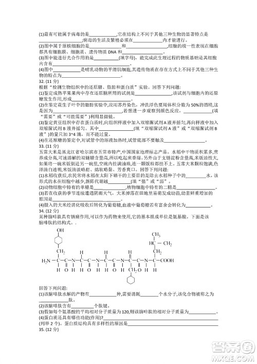 湖南省部分学校2022-2023学年度上学期高一年级一调考试生物试题及答案