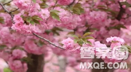 那一刻我真幸福作文600字 关于那一刻我真幸福的作文600字 那一刻我真幸福作文600字 关于那一刻我真幸福的作文600字