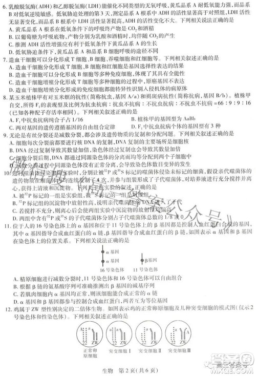 江西红色十校2023届高三第一次联考生物试题及答案 江西红色十校2023届高三第一次联考生物试题及答案