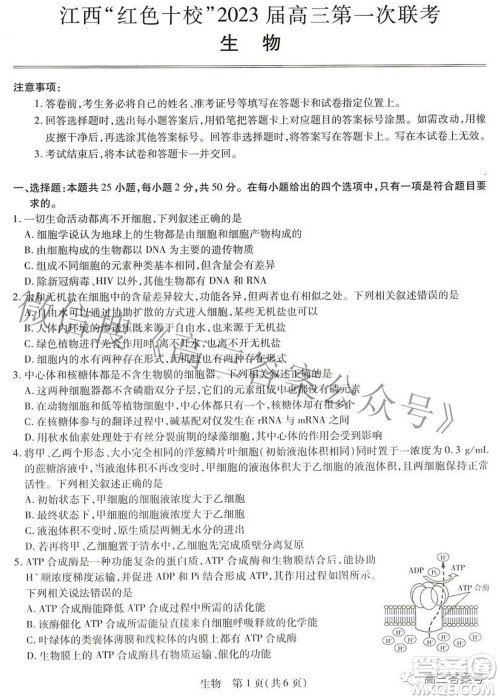 江西红色十校2023届高三第一次联考生物试题及答案 江西红色十校2023届高三第一次联考生物试题及答案