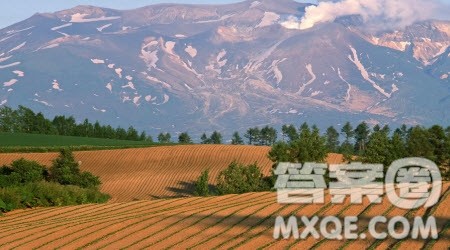 九月的田野作文600字 以九月的田野为题作文600字