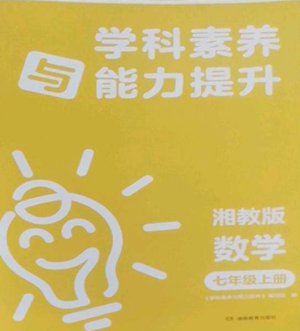 湖南教育出版社2022学科素养与能力提升七年级上册数学湘教版参考答案