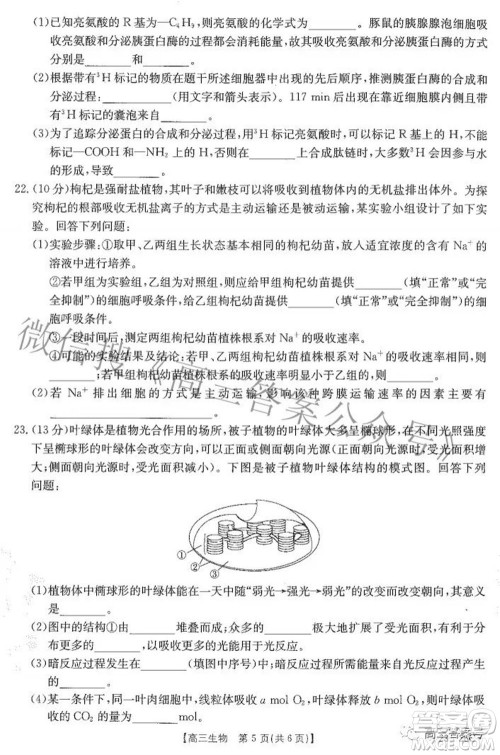 2023届贵州金太阳高三9月联考生物试题及答案 2023届贵州金太阳高三9月联考生物试题及答案