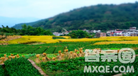 情满放学路主题作文600字 关于情满放学路的主题作文600字