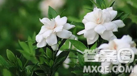 走进夏天主题作文600字 关于走进夏天的主题作文600字 走进夏天主题作文600字 关于走进夏天的主题作文600字