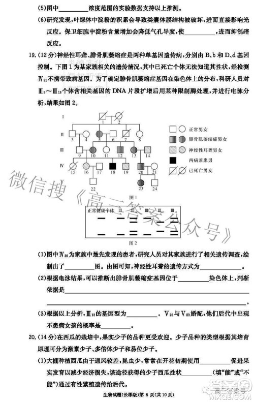 长郡中学2023届高三月考试卷二生物试题及答案