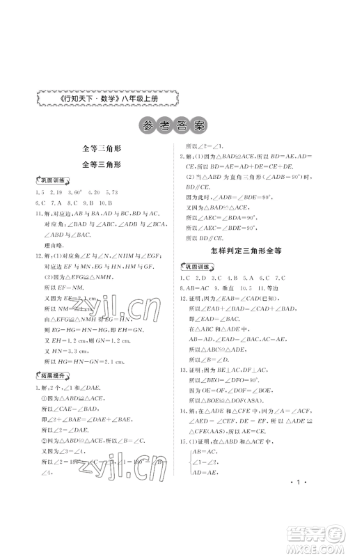 山东人民出版社2022初中卷行知天下八年级上册数学青岛版参考答案