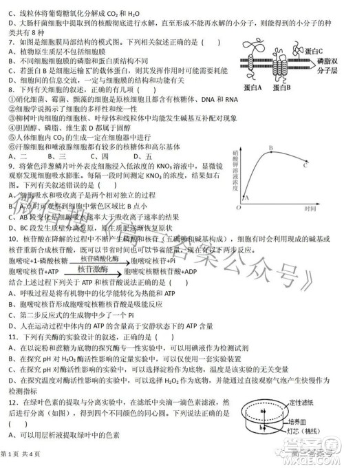 江西省六校2023届高三10月联考生物试题及答案 江西省六校2023届高三10月联考生物试题及答案