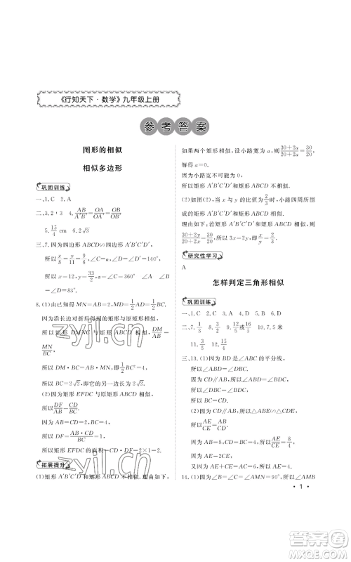 山东人民出版社2022初中卷行知天下九年级上册数学青岛版参考答案