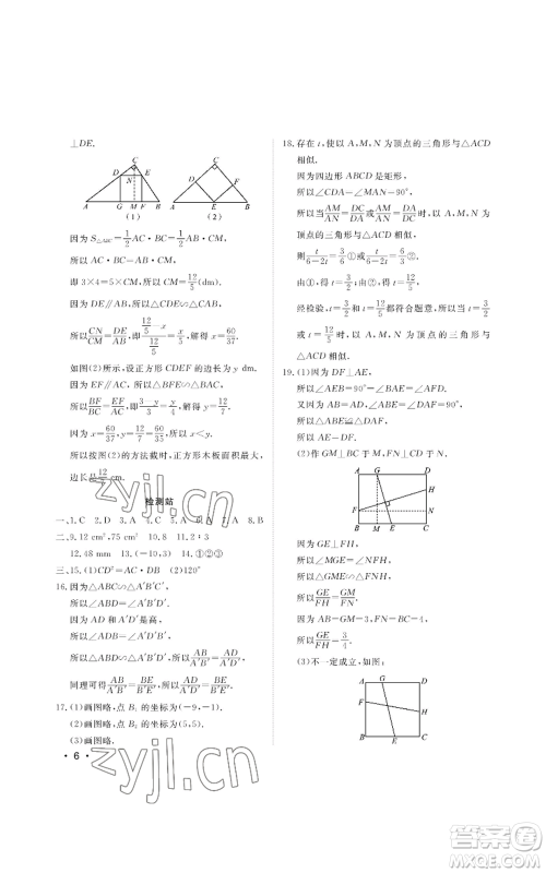 山东人民出版社2022初中卷行知天下九年级上册数学青岛版参考答案