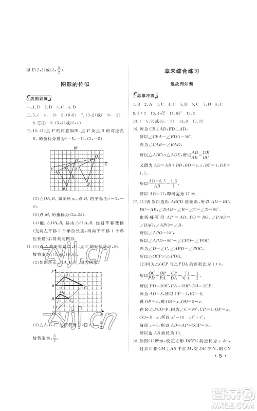 山东人民出版社2022初中卷行知天下九年级上册数学青岛版参考答案